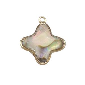 Abalone Shell colover pendant, gold plated, approx 14mm [GM16577]