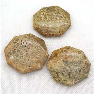 Coral Fossil octagon pendant, approx 45-50mm [GM17120]
