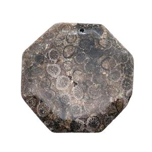 black Coral Fossil Octagon pendant, approx 45-50mm [GM17122]