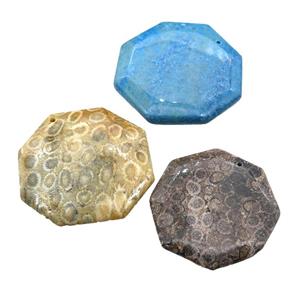 Coral Fossil octagon pendant, mixed color, approx 45-50mm [GM17123]