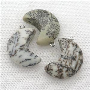 Chohua Jasper moon pendant, approx 14-30mm [GM17301]