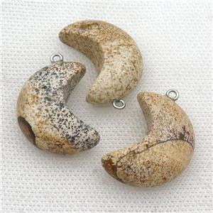 picture jasper moon pendant, approx 14-30mm [GM17302]
