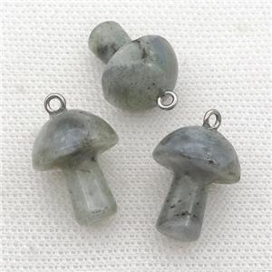Labradorite mushroom pendant, approx 15-20mm [GM17334]