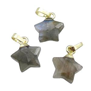 Labradorite star pendant, gold plated, approx 12mm [GM17364]
