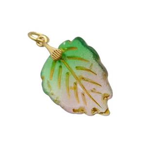 Acrylic Leaf Pendant Multicolor, approx 16.5-22mm [GM17998]