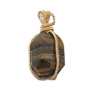 Tiger Eye Stone Pendant Freeform Wire Wrapped, approx 20-35mm [GM18607]