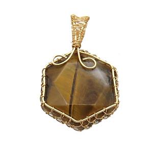 Tiger Eye Stone Hexagon Pendant Wire Wrapped, approx 25mm [GM18625]