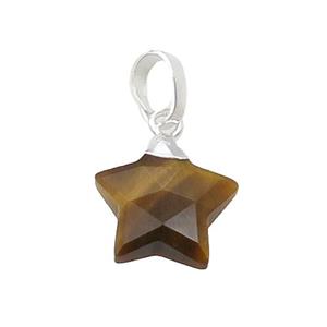Tiger Eye Stone Star Pendant Silver Plated, approx 12.5mm [GM18677]
