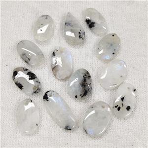 White Moonstone Pendant Mixed Shape, approx 14-28mm [GM18740]