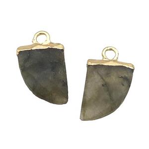 Natural Labradorite Pendant Horn Gold Plated, approx 5-15mm [GM19203]
