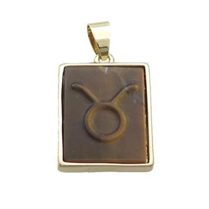 Natural Tiger Eye Stone Pendant Zodiac Leo Rectangle Gold Plated, approx 16-20mm [GM19348]