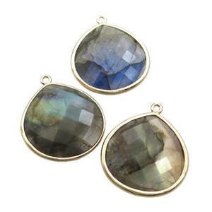 Natural Labradorite Teardrop Pendant Gold Plated, approx 25mm [GM19506]