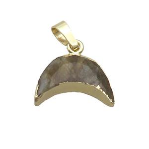 Natural Labradorite Moon Pendant Gold Plated, approx 13-18mm [GM19580]