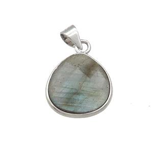 Natural Labradorite Teardrop Pendant Platinum Plated, approx 15mm [GM20524]