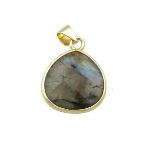 Natural Labradorite Teardrop Pendant Gold Plated, approx 15mm [GM20540]