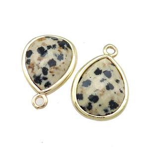 Natural Black Dalmatian Jasper Teardrop Pendant Gold Plated, approx 13-15mm [GM20625]