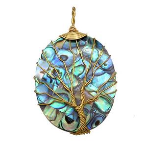 Abalone Shell Oval Pendant Tree Of Life Raw Brass Wire Wrapped, approx 30-40mm [GM20811]