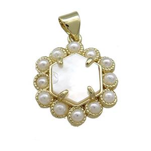 Copper Hexagon Pendant Pave White Shell Pearlized Resin Gold Plated, approx 18mm [GM20933]