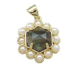 Copper Hexagon Pendant Pave Labradorite Pearlized Resin Gold Plated, approx 18mm [GM20938]