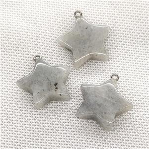 Natural Gray Labradorite Star Pendant, approx 24mm [GM21661]