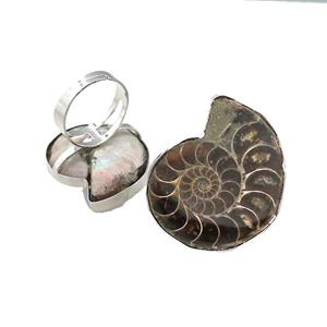 Natural Ammonite Fossil Rings Adjustable, approx 25-40mm, 18mm dia [GM21793]