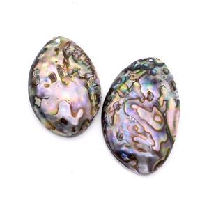 Natural Abalone Shell Pendant Freeform Multicolor, approx 30-55mm [GM22716]