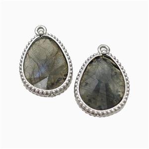 Natural Labradorite Teardrop Pendant Platinum Plated, approx 14.5-20mm [GM24063]