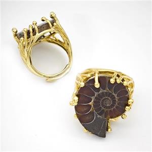 Copper Ring Pave Ammonite Fossil Adjustable Gold Plated, approx 20-25mm, 18mm dia [GM24261]