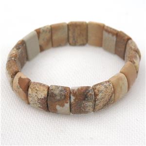 Picture Jasper Bracelets, stretchy, approx 10-15mm [GMBR470]