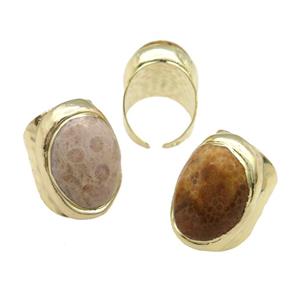 Copper Ring With Coral Fossil Gold Plated, approx 18-23mm, 20-30mm, 18mm dia [GR10224]