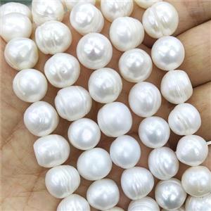 Natural Freshwater Pearl Beads, white, approx 11-12mm, 35cm length [PB10108]
