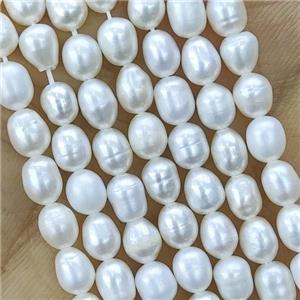 white Freshwater Pearl rice Beads, approx 4-4.5mm [PB10118]