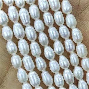 white Freshwater Pearl rice Beads, approx 4-4.5mm [PB10119]