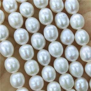 white Freshwater Pearl barrel Beads, approx 7-8mm [PB10122]