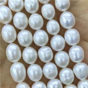 white Freshwater Pearl rice Beads, approx 8-9mm [PB10123]