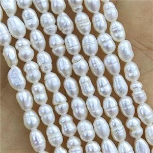 white Freshwater Pearl rice Beads, approx 3-3.5mm [PB10124]