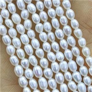 white Freshwater Pearl rice Beads, approx 2.5-2.8mm [PB10125]