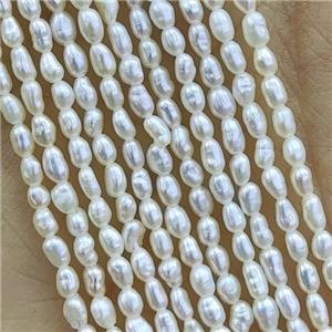 white Freshwater Pearl rice Beads, approx 1.8-2mm [PB10126]