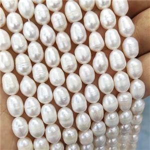 White Pearl Rice Beads, approx 7-8mm [PB10178]