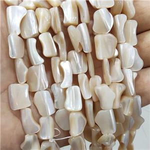 Coffee Sea Shell Beads Freeform Natural Color, approx 8-16mm [SHEMP148]