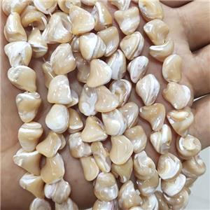 Coffee Sea Shell Beads Freeform Natural Color, approx 8-9mm [SHEMP150-L]