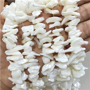 White Sea Shell Beads Freeform, approx 10-20mm [SHEMP151]