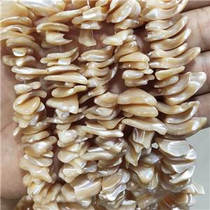 Coffee Sea Shell Beads Freeform Natural Color, approx 10-20mm [SHEMP152]
