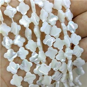 White MOP Shell Beads Clover, approx 10mm, 39pcs per st [SHM0174]