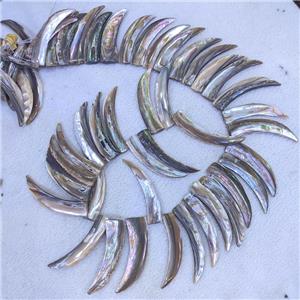 Abalone Shell Horn Beads Topdrilled, approx 10-45mm [SHM0186]