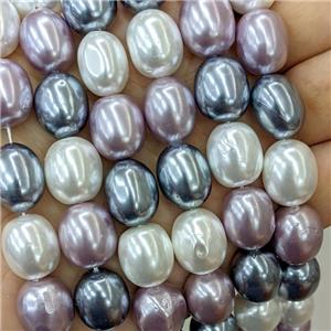 Baroque Style Pearlized Shell Beads Barrel Mixed Color, approx 13-15mm [SHP10396]