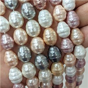 Baroque Style Pearlized Shell Barrel Beads Screw Mixed Color Dye, approx 13-16mm [SHP332]