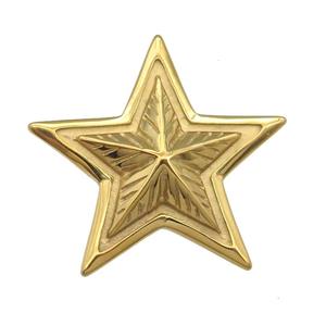 Stainless Steel star pendant gold plated, approx 44mm [SSB0766]