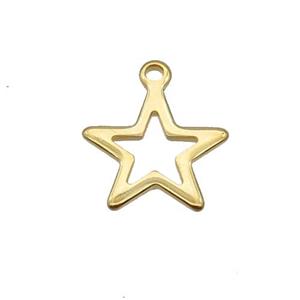 Stainless Steel Star Pendant Gold Plated, approx 12.5mm [SSB2288]