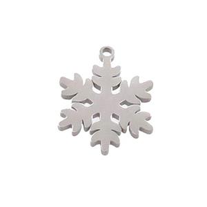 Raw Stainless Steel Snowflake Charms Pendant, approx 17mm [SSB3328]
